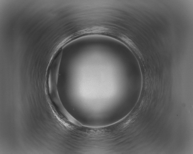 X0000054390850200507291142