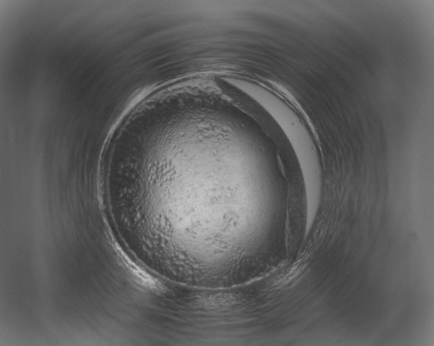 X0000054390851200507291142