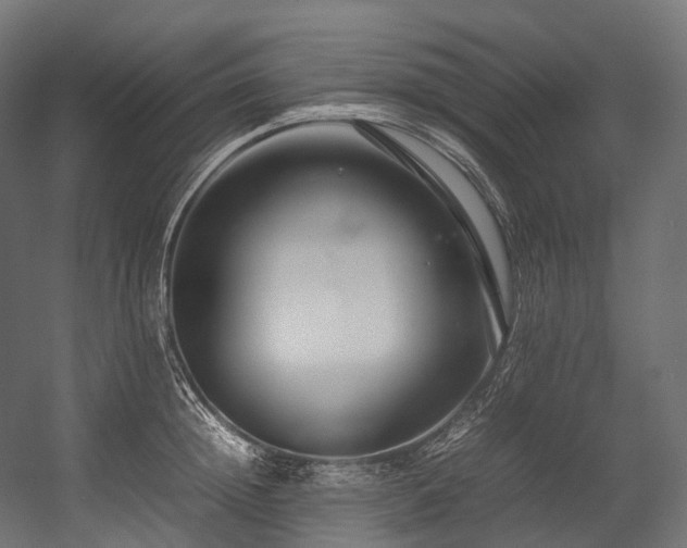 X0000054390852200507291142