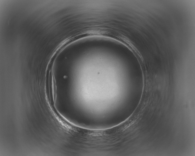X0000054390853200507291142