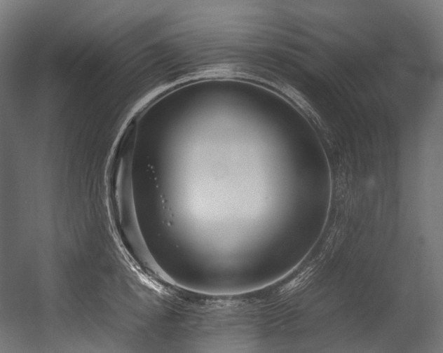 X0000054390854200507291142