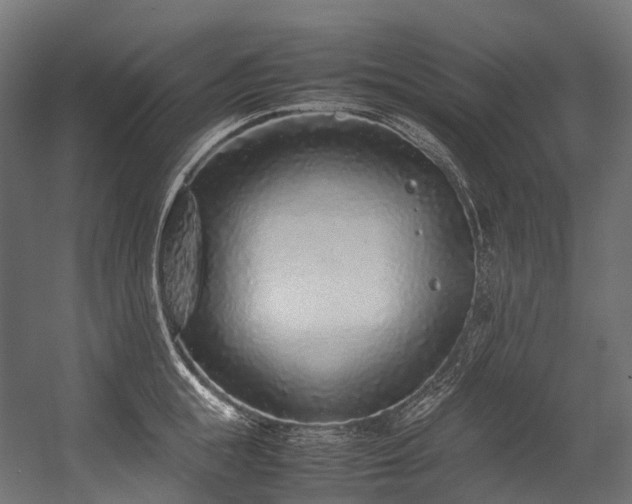 X0000054390855200507291142