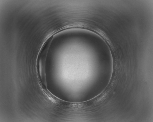 X0000054390858200507291142