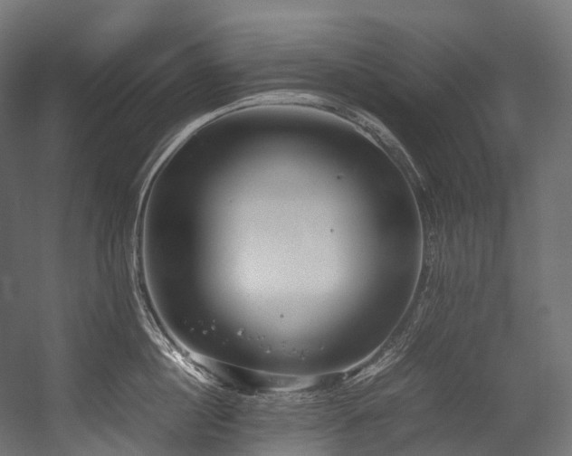 X0000054390860200507291142