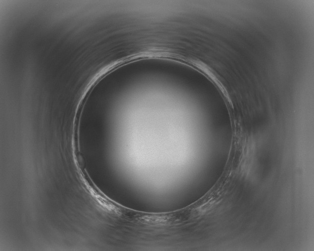 X0000054390861200507291142