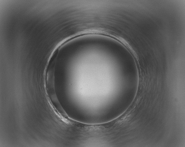 X0000054390862200507291142