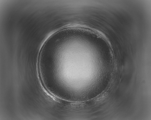 X0000054390863200507291142
