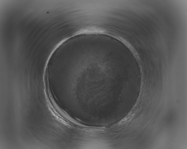 X0000054390864200507291142