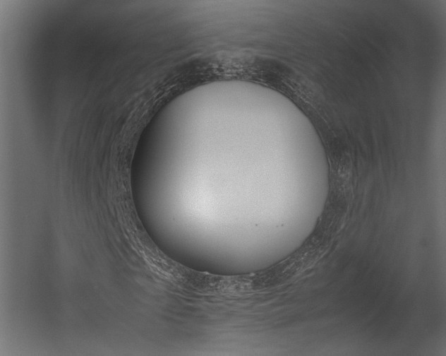 X0000054390865200507291141