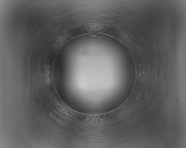 X0000054390866200507291141