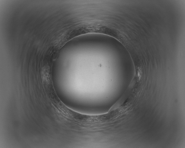 X0000054390867200507291141