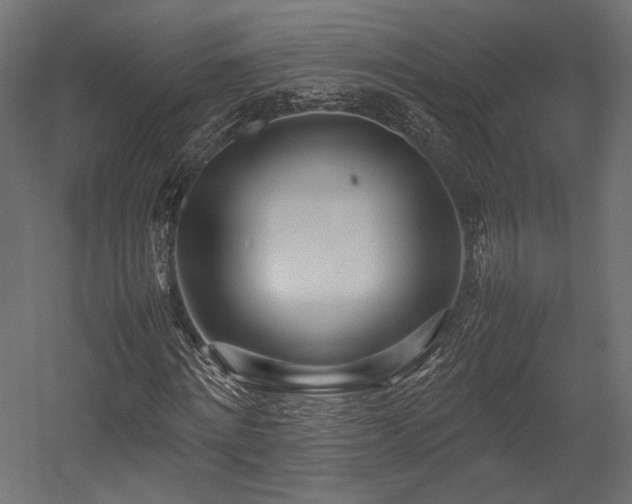 X0000054390868200507291141