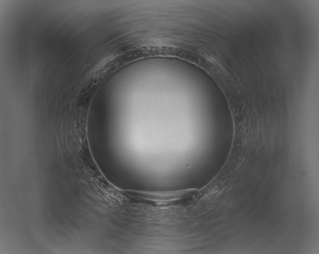 X0000054390870200507291141