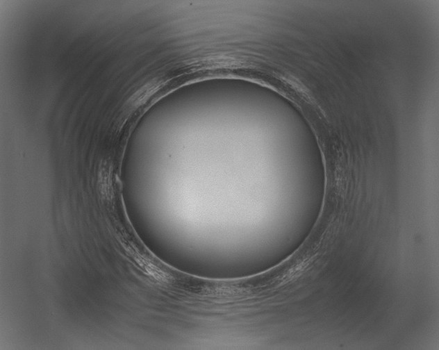 X0000054390873200507291141