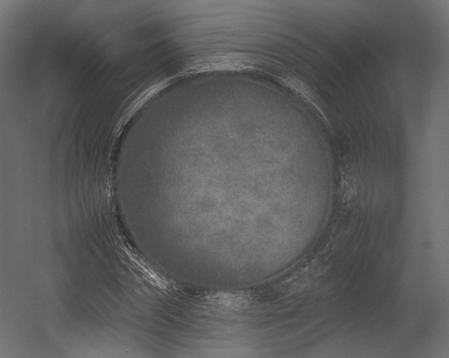 X0000054390874200507291141