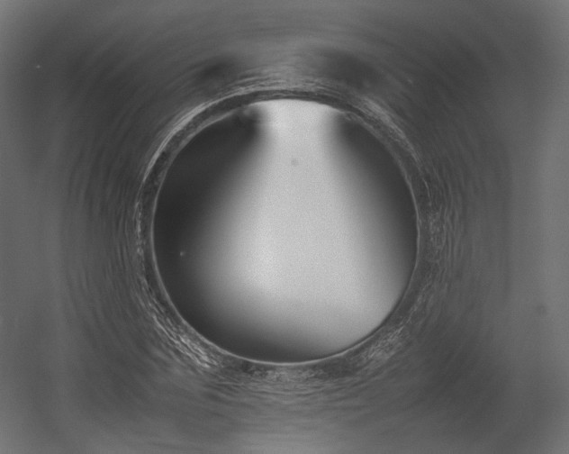 X0000054390875200507291141