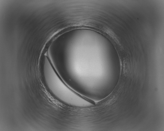 X0000054390876200507291141