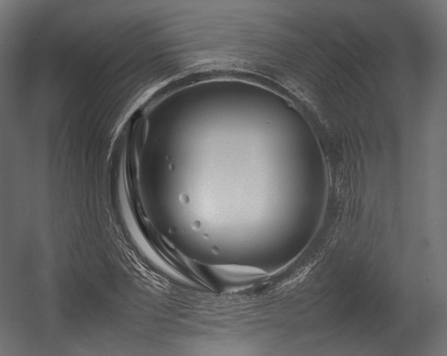 X0000054390877200507291141