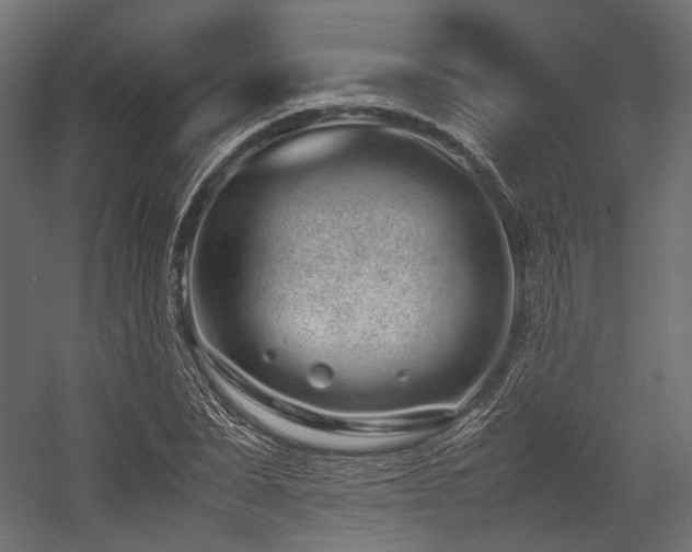 X0000054390879200507291141