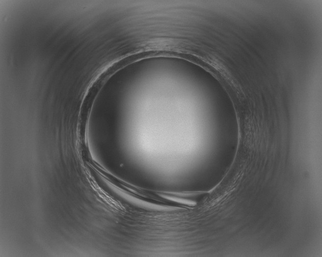 X0000054390880200507291141