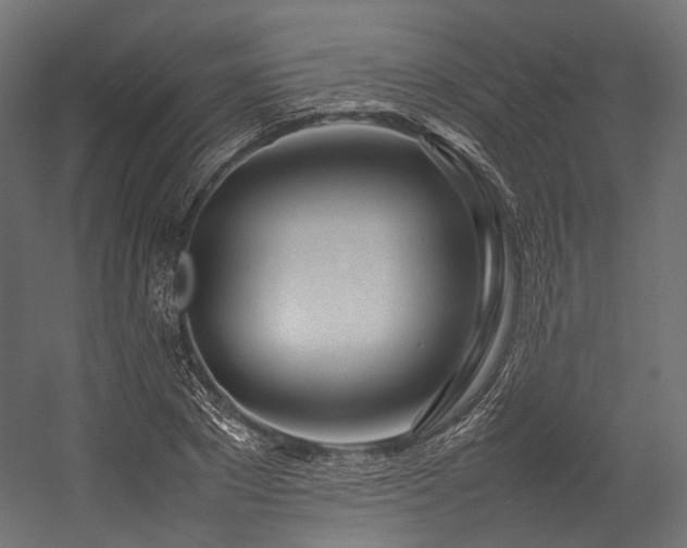 X0000054390881200507291141