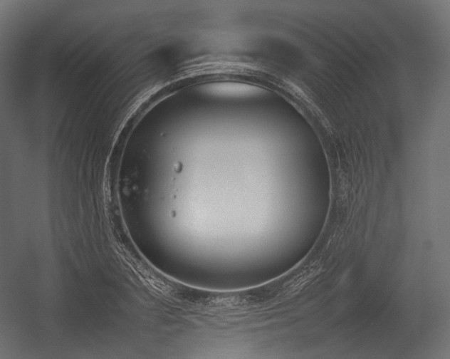 X0000054390883200507291141