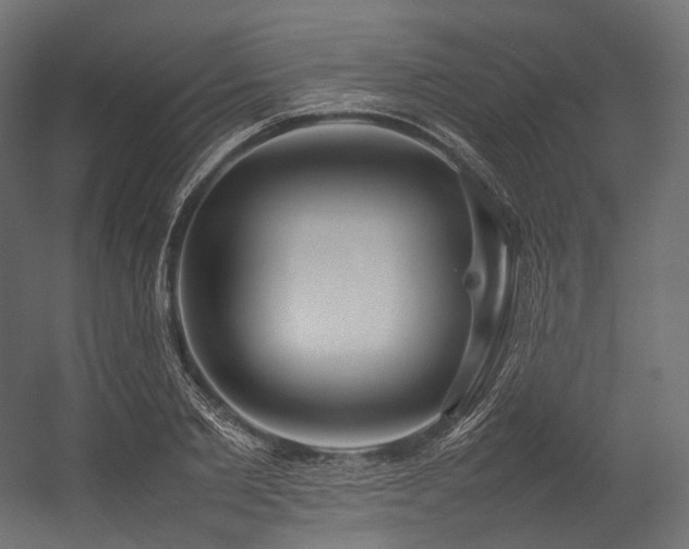X0000054390885200507291141
