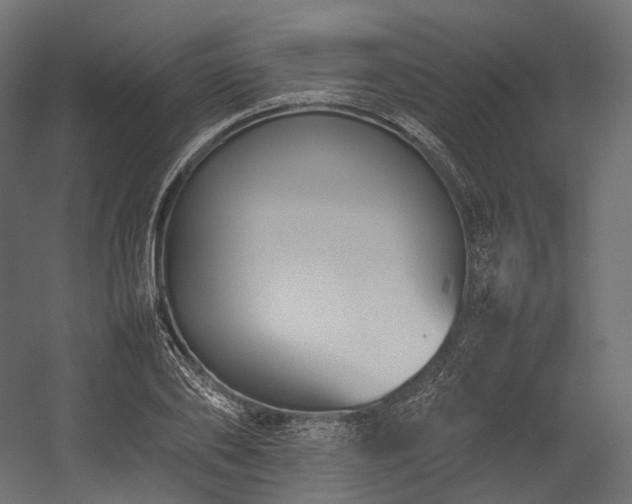 X0000054390886200507291141