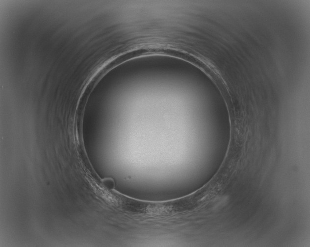 X0000054390887200507291141
