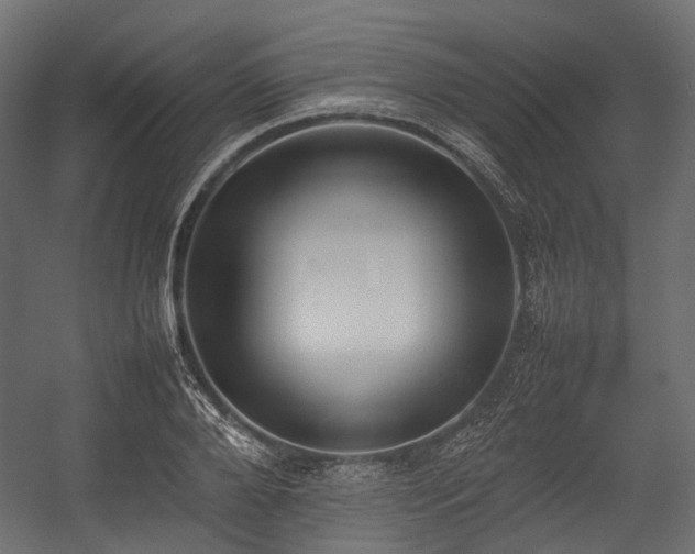 X0000054390888200507291141