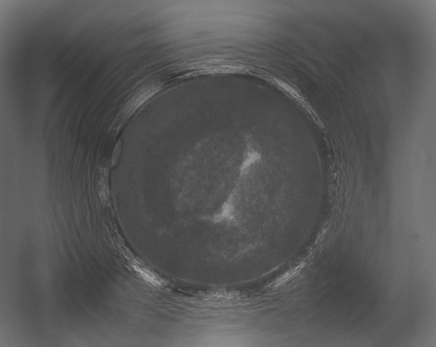 X0000054390889200507291141