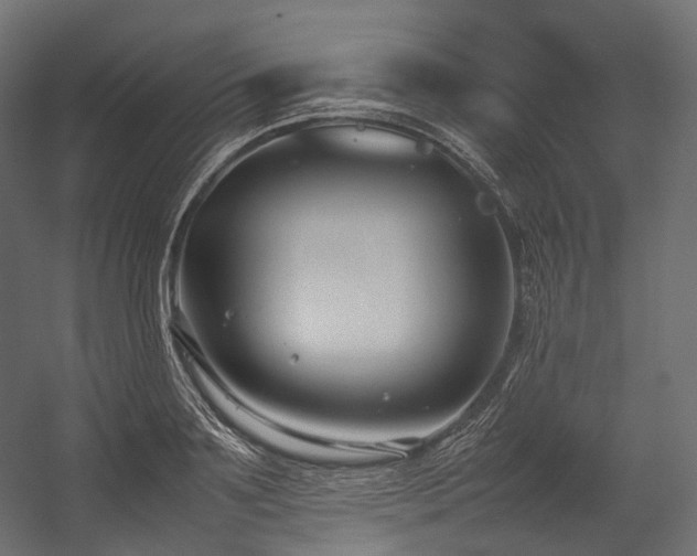 X0000054390891200507291141