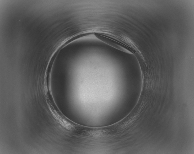 X0000054390892200507291140
