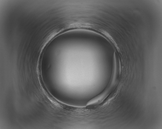 X0000054390893200507291140