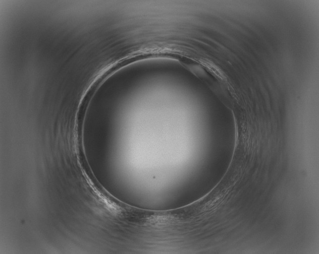 X0000054390894200507291140