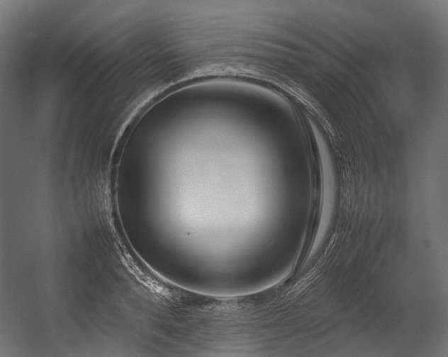 X0000054390896200507291140