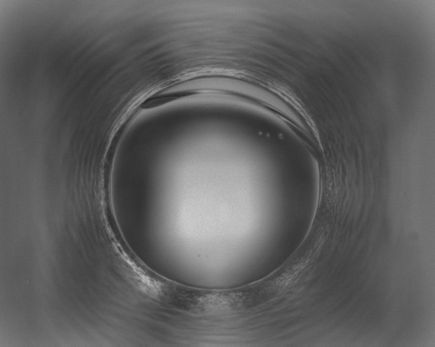 X0000054390898200507291140