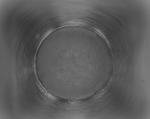 X0000054390899200507291140