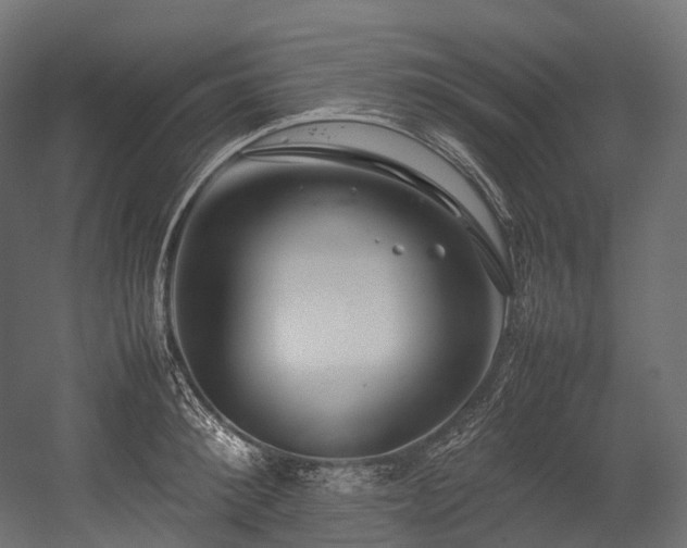 X0000054390900200507291140