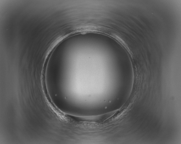X0000054390901200507291140