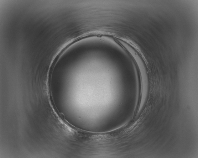 X0000054390902200507291140