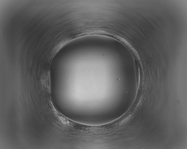 X0000054390905200507291140