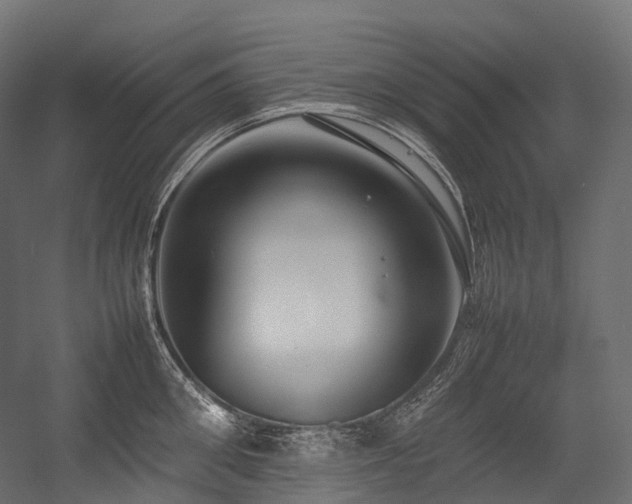X0000054390906200507291140