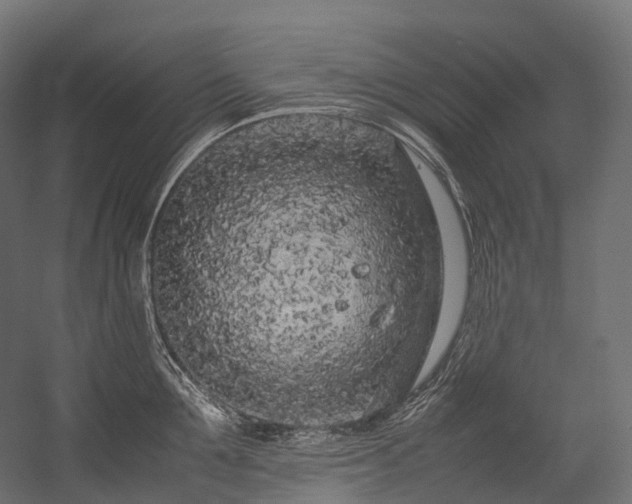 X0000054390907200507291140
