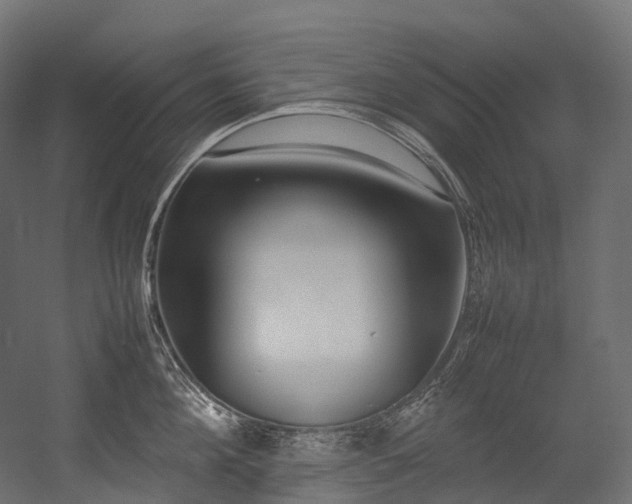X0000054390908200507291140