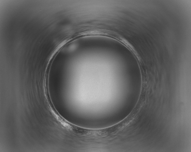X0000054390909200507291140