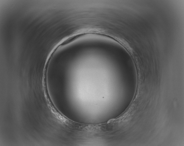 X0000054390912200507291140
