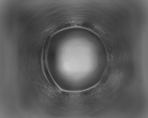 X0000054390917200507291139