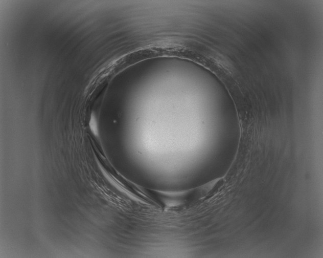 X0000054390920200507291139