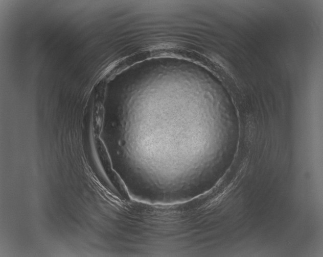 X0000054390921200507291139